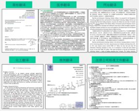 南昌翻譯公司哪家好？本地與跨區(qū)域服務(wù)選擇指南